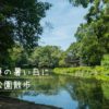 夏の暑い日に公園散歩