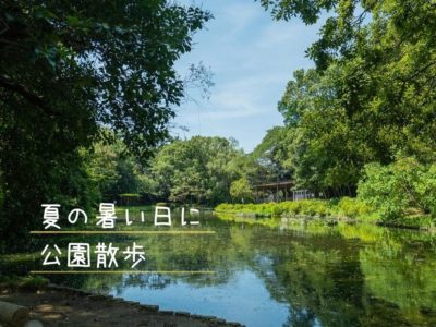 夏の暑い日に公園散歩