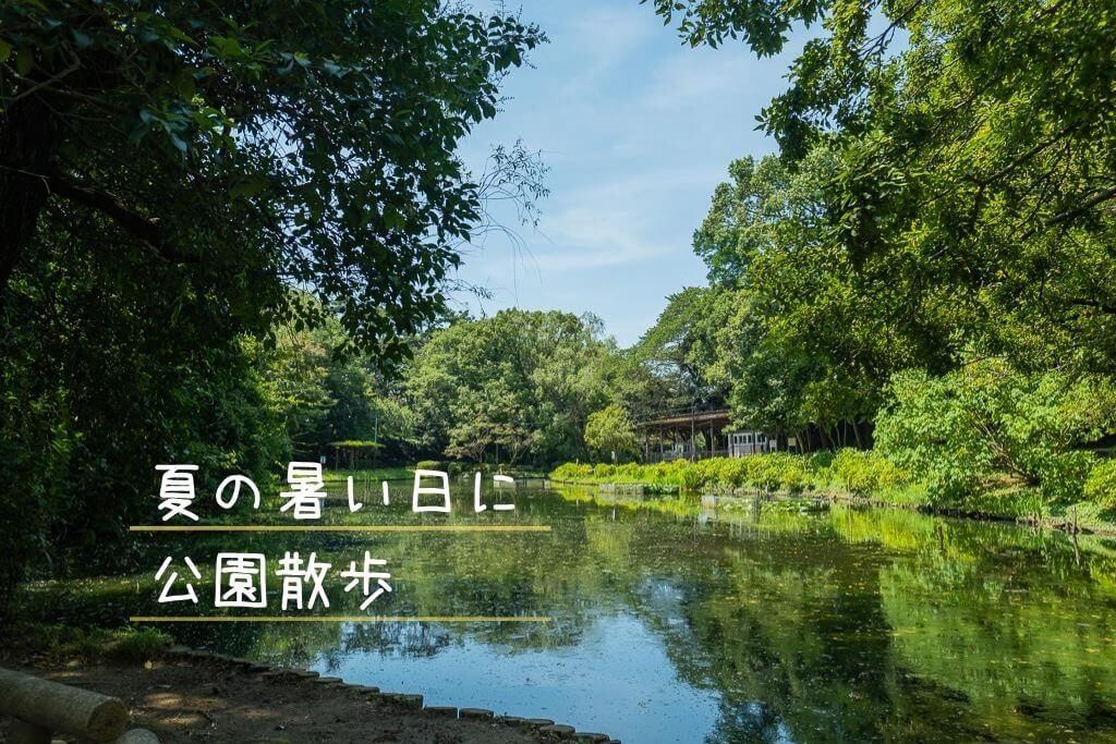 夏の暑い日に公園散歩