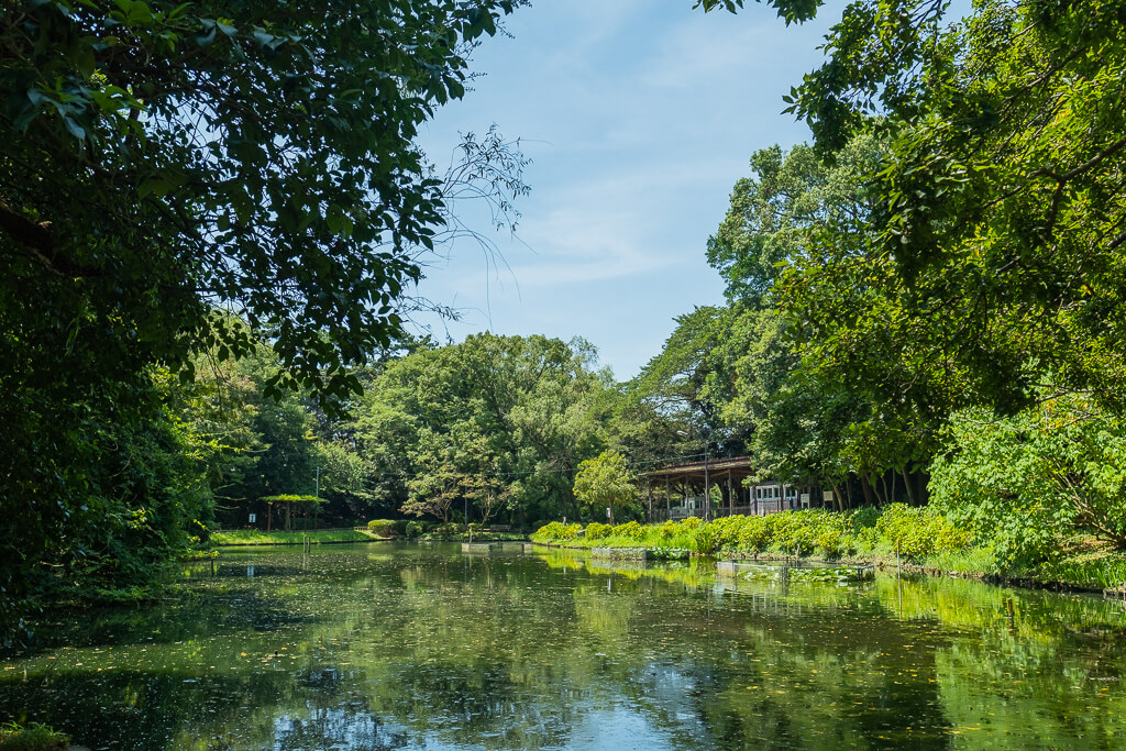 公園の真ん中には池もある。