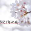 2021年の桜