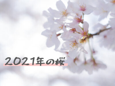 2021年の桜