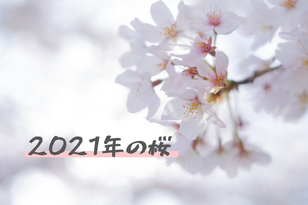 2021年の桜