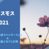 2021年のコスモス